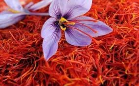 Persian Saffron